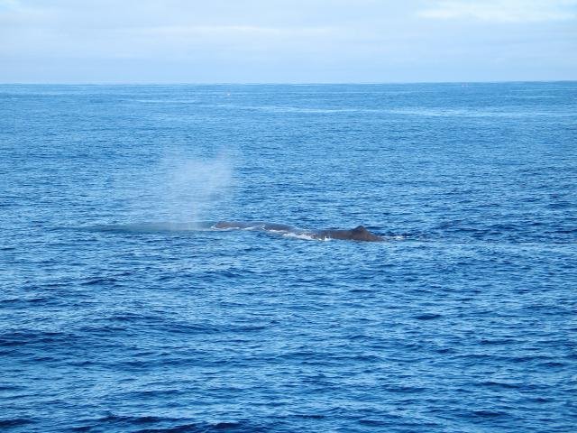 Urlaub in Norwegen 2006